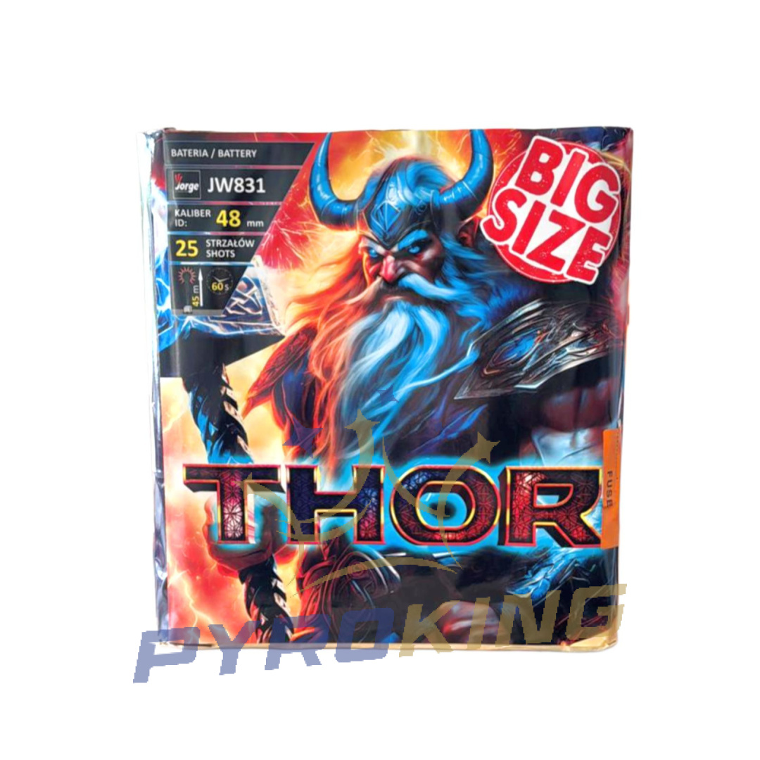 worldwingです。 THOR JW831 25s - Jorge - PyroKing